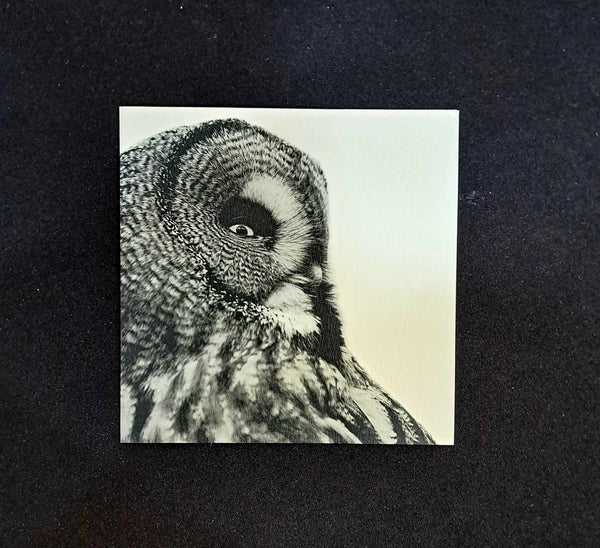 House of Words Gift Card - Owl