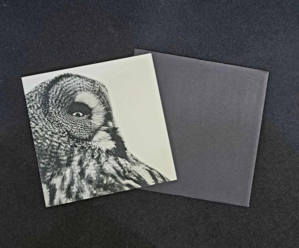 House of Words Gift Card - Owl
