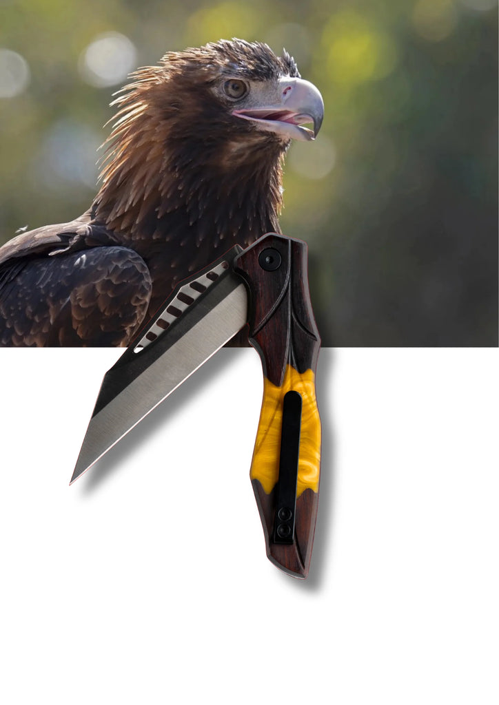 Koi Knives - EDC Pocket Knife - Evan - The Wedge Tail Eagle