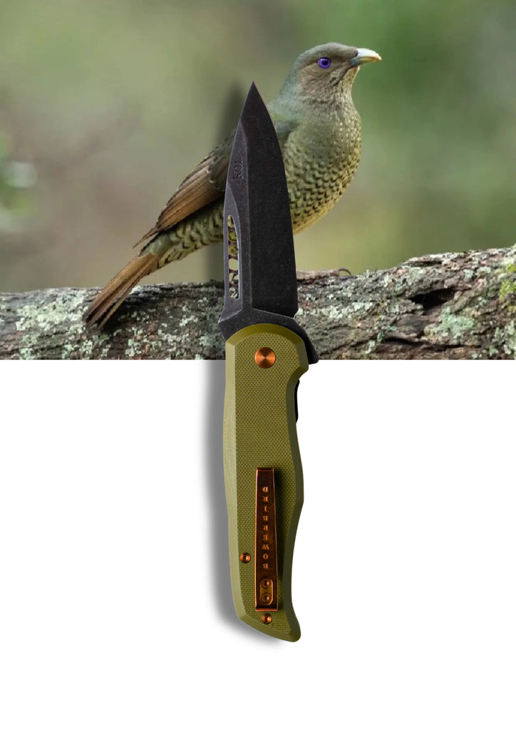 Koi Knives - EDC Pocket Knife - Bek -The Bowerbird - Female