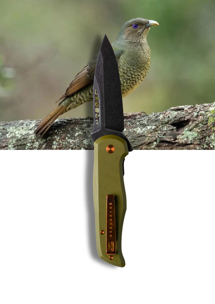 Koi Knives - EDC Pocket Knife - Bek -The Bowerbird - Female