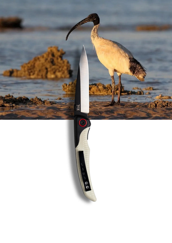 Koi Knives - EDC Pocket Knife - Ian - The Australian White Ibis - AKA - Bin Chicken