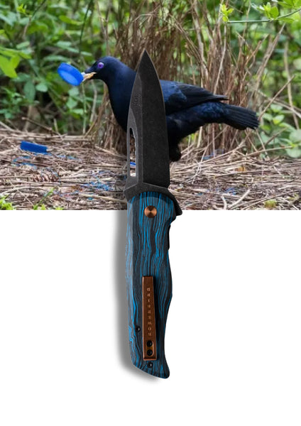 Koi Knives - EDC Pocket Knife - Bob - The Bowerbird - Male