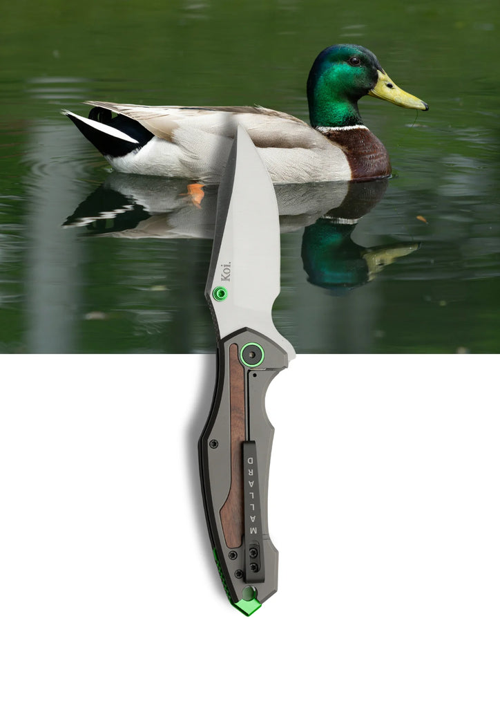 Koi Knives - Wood Duck - Mallard - William