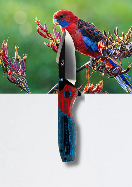 Koi Knives - Crimson Rosella - Ruby